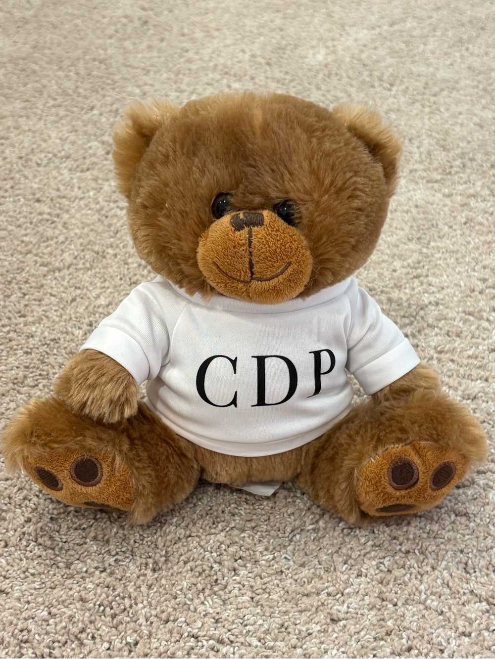 Brown Plush Teddy Bear with White Tee - Soft Cuddly Toy